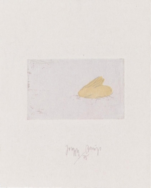 Joseph Beuys - Suite Zirkulationszeit: junger Hase, 1982, etching and lithograph on white wove