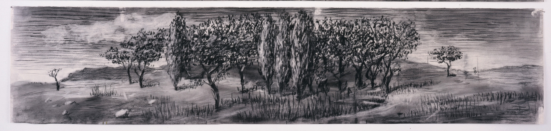 William Kentridge - Drawing from Il Ritorno d'Ulisse (The Return of Ulysses), 1998, charcoal and colored chalks on on paper
