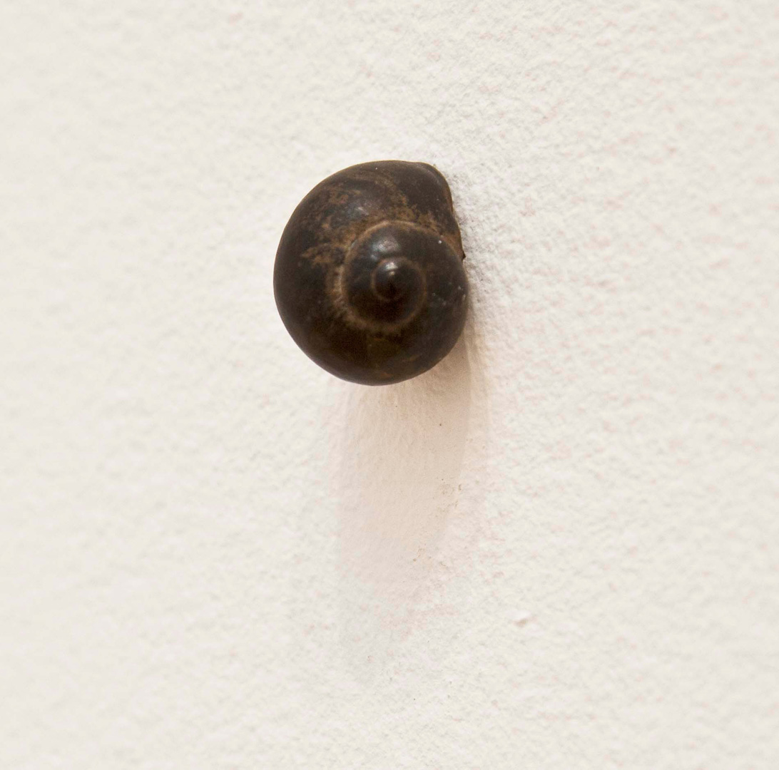 Robert Therrien - No title (five snails), 1990-2011, cast bronze