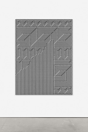 Tauba Auerbach - Shadow Weave - Chiral Fret Wave, 2015