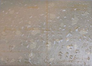 Joseph Beuys - Honey is Flowing, 1974, silkscreen on vinyl sheet