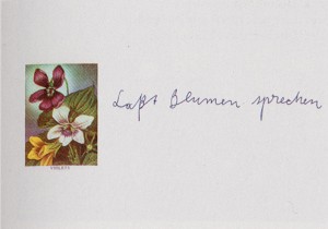 Joseph Beuys - Laßt Blumen sprechen, 1974