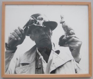Joseph Beuys - Photo-Editionen, 1982-83