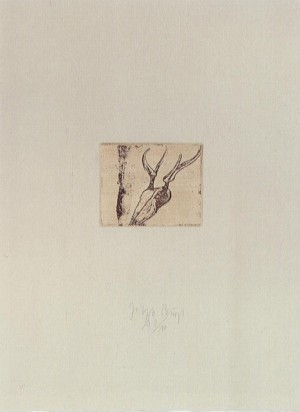 Joseph Beuys - Hirsch-Fuß aus der Suite Tränen (Stag&#039;s Foot from Suite Tears), 1985, etching on thin paper laid down on gray wove