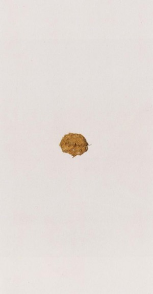 Joseph Beuys - Suite Zirkulationszeit: Bär (Suite Circulation Time: Bear), 1982