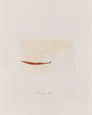 Joseph Beuys - Suite Zirkulationszeit: Meerengel die Seegurke, 1982
