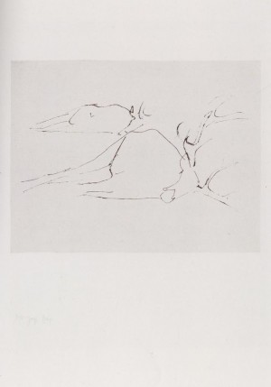 Joseph Beuys - Suite Zirkulationszeit: tote Hirsche, 1982