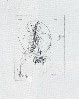 Joseph Beuys - Zeichnungen zu Codices Madrid von Leonardo da Vinci, 1975, granolithograph