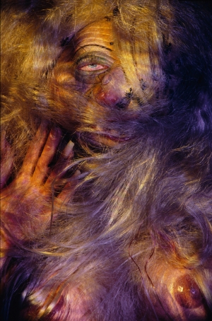 Cindy Sherman - Untitled #191, 1989