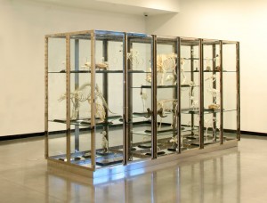 Damien Hirst - Something Solid Beneath the Surface of All Creatures Great and Small, 2001, glass, stainless steel, nickel, brass, rubber, painted and lacquered MDF and animal skeletons