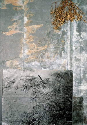 Anselm Kiefer - Das Balder-Lied, 1977-88, original photograph and mistletoe on treated lead in a glazed steel frame