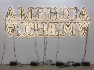 Glenn Ligon - Double America 2, 2014