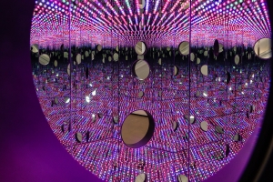 Browse the Collection | The Broad