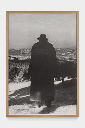 Joseph Beuys - Difesa della natura (Clavicembalo) (Defense of Nature (Harpsichord)), 1981, silkscreen on machine-made wove