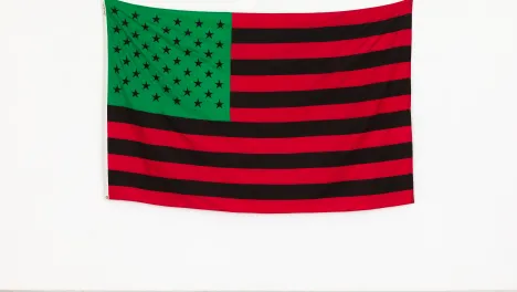 David Hammons African-American Flag