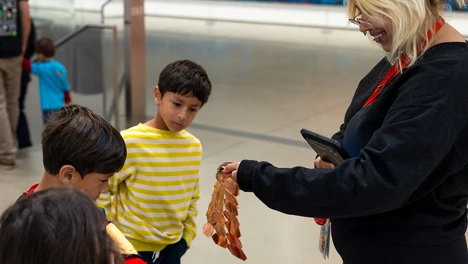 Sensory Morning Photo