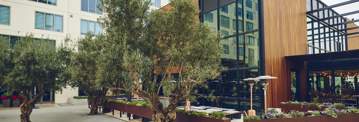 Otium restaurant Otium restaurant next door to The Broad museum in Los Angeles.