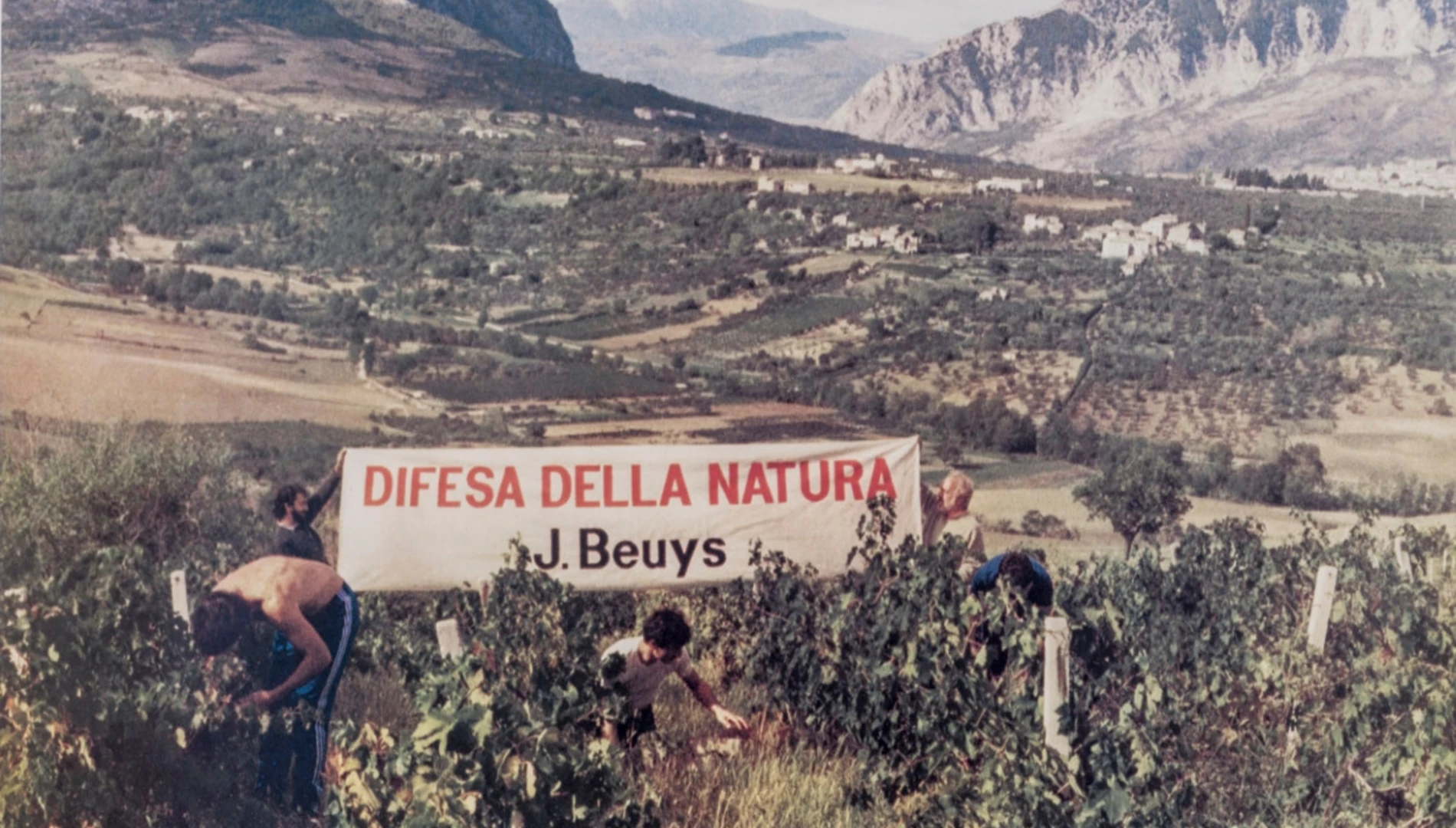 Joseph Beuys In Defense of Nature Hero Image