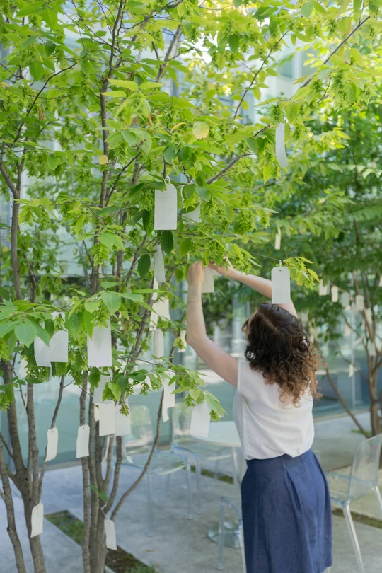 A women hanging a wish on Yoko Ono's participatory Wishing Tree artwork