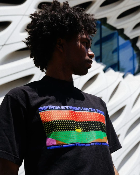 A person stands in front of The Broad's white sculptural exterior wearing a black graphic tee with bold multicolored stripes.