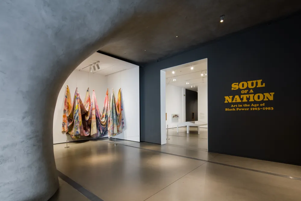 Photo of the entrance to the Soul of a Nation special exhibition