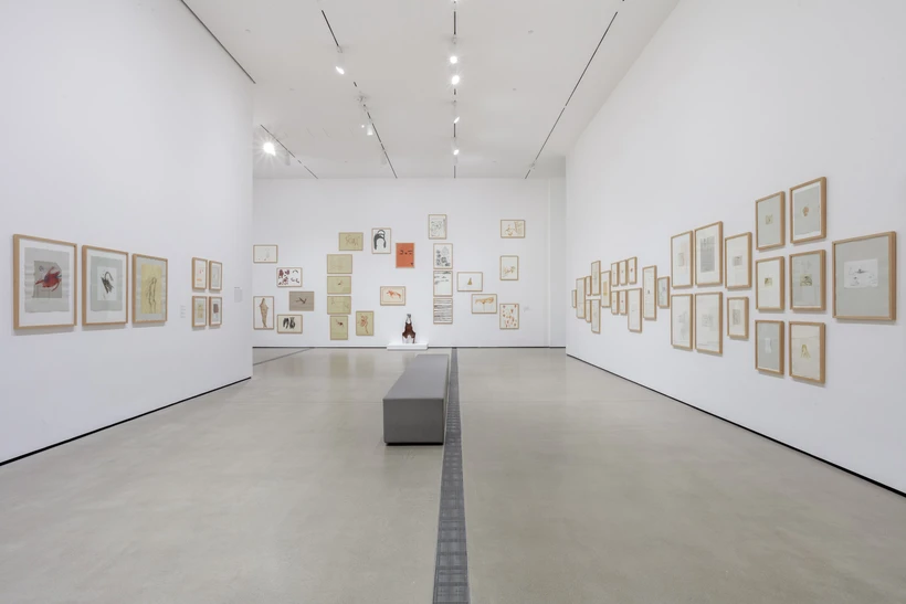 Joseph Beuys Install Shot