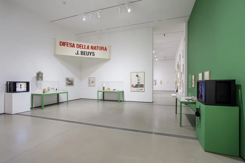 Joseph Beuys Install Shot