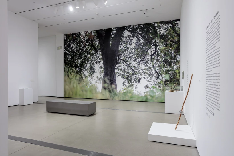 Joseph Beuys Install Shot