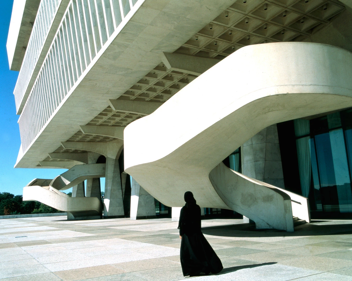 Soliloquy Series by SHIRIN NESHAT